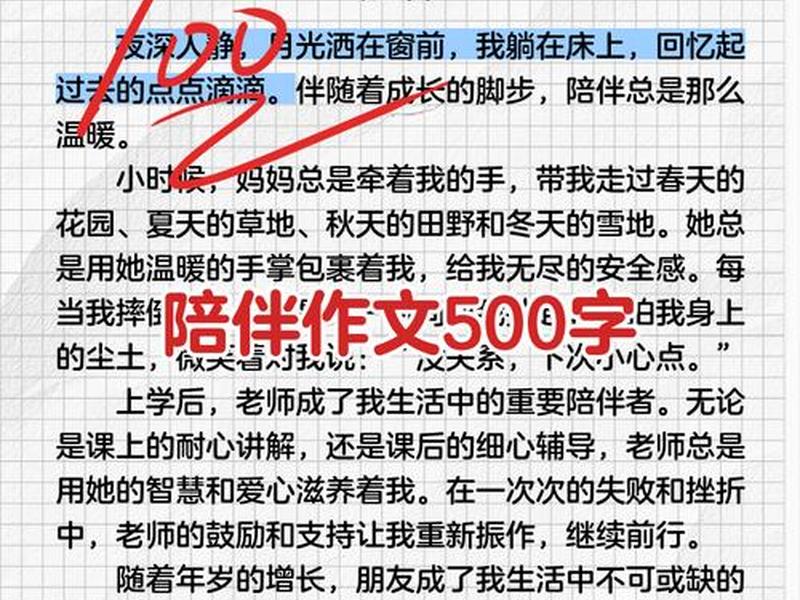 关于《陪伴》的人际关系（关于《陪伴》的人际关系论文）