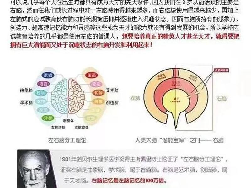 佩普劳的人际关系模式框架图(佩普劳的人际关系模式的四个阶段) 佩普劳的人际关系模式框架图(佩普劳的人际关系模式的四个阶段)