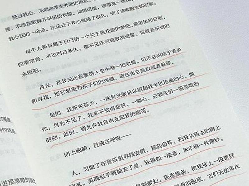 哪部小说很好看文笔很好、哪部小说很好看文笔很好的