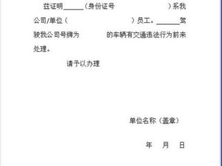 处理交通违章模板、处理交通违章模板范文