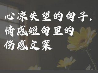 关于对感情失望的简短文案 关于对感情失望的简短文案短句