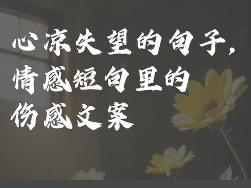 关于对感情失望的简短文案 关于对感情失望的简短文案短句 关于对感情失望的简短文案 关于对感情失望的简短文案短句