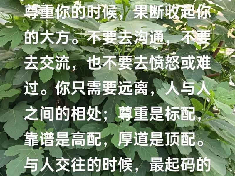 和一个不懂你的人沟通,和一个不懂你的人沟通的句子 和一个不懂你的人沟通,和一个不懂你的人沟通的句子