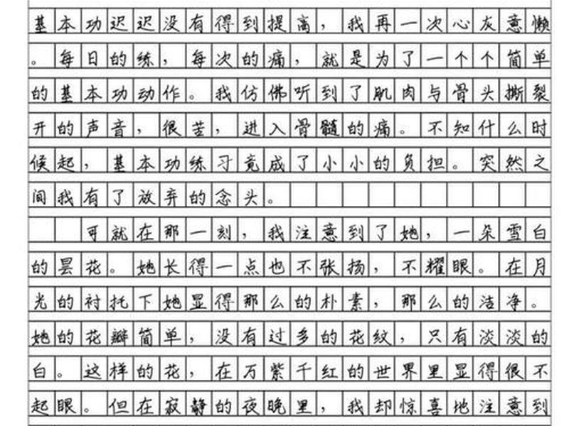 关于人际关系的挫折作文 - 关于人际关系的挫折作文素材
