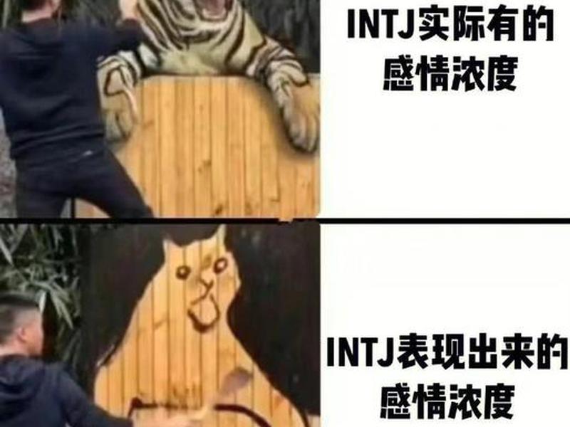 intj的人对待感情;intj型人格感情 intj的人对待感情;intj型人格感情