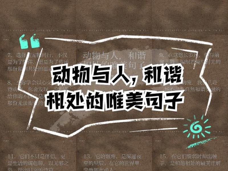 哪个动物人际关系好（哪个动物人际关系好呢）