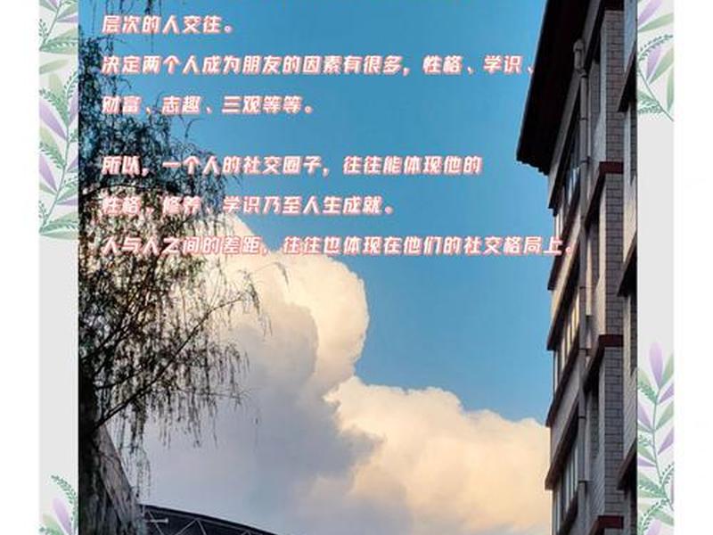 00后的社交与圈子(00后的社交与圈子的关系) 00后的社交与圈子(00后的社交与圈子的关系)