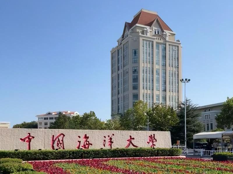 大学 大学