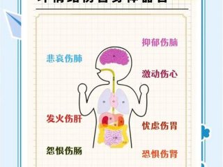 复杂人际关系的危害是什么（复杂人际关系的危害是什么意思）