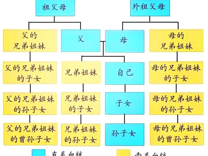 亲戚关系和血缘关系分别是什么意思,亲戚关系和血缘关系分别是什么意思啊 亲戚关系和血缘关系分别是什么意思,亲戚关系和血缘关系分别是什么意思啊