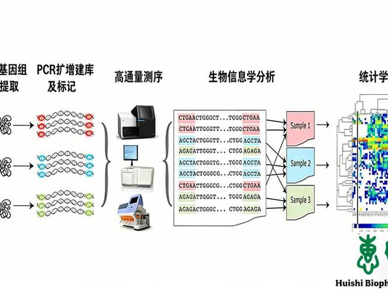 千人基因组数据库(千人基因组数据库怎么使用) 千人基因组数据库(千人基因组数据库怎么使用)