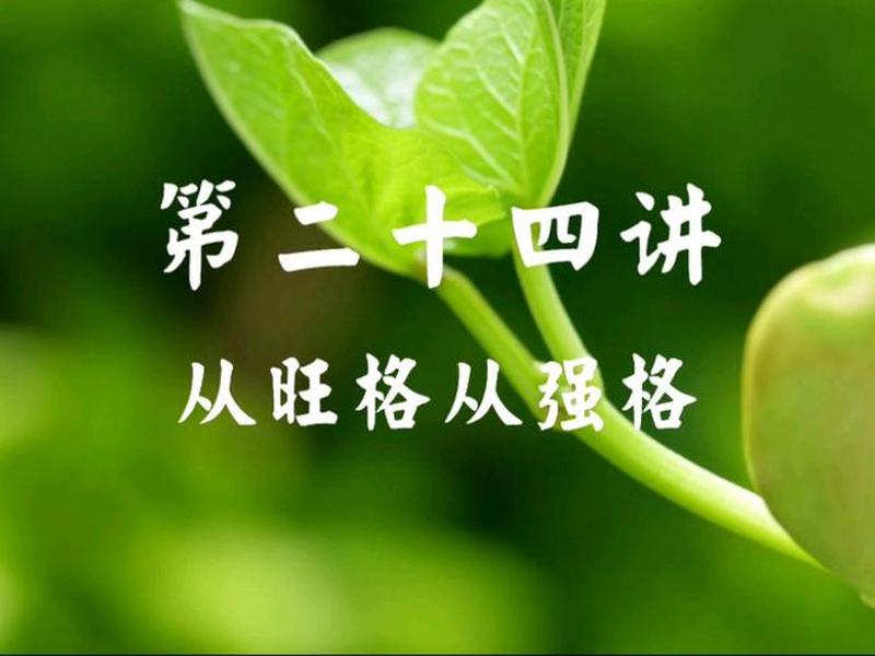 从旺格详细解释(从旺格案例解析) 从旺格详细解释(从旺格案例解析)