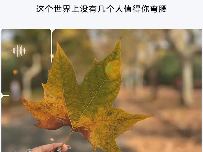 不迁就任何人 - 不迁就任何人的说说 不迁就任何人 - 不迁就任何人的说说