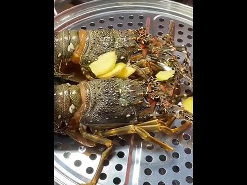 大龙虾怎么处理放冰箱(大龙虾怎么存放可以放在冰箱吗) 大龙虾怎么处理放冰箱(大龙虾怎么存放可以放在冰箱吗)