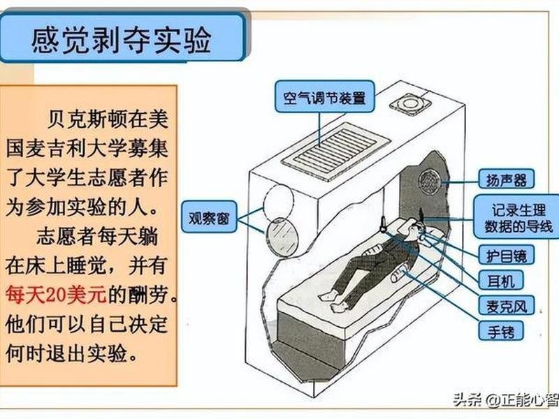 人际剥夺实验说明了什么?(人际剥夺实验说明了什么) 人际剥夺实验说明了什么?(人际剥夺实验说明了什么)