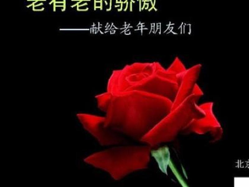 和谐平衡的人际关系朗诵稿子 - 和谐平衡的人际关系朗诵稿子怎么写 和谐平衡的人际关系朗诵稿子 - 和谐平衡的人际关系朗诵稿子怎么写