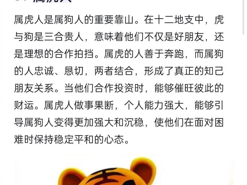 2022年属虎的人际关系 - 2022年属虎的人际关系怎么样 2022年属虎的人际关系 - 2022年属虎的人际关系怎么样
