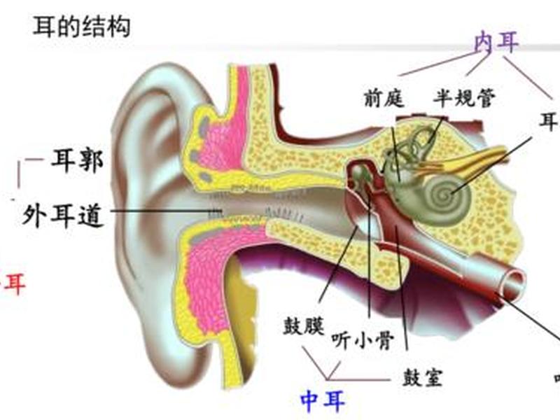 人对延迟的感知(人对延迟的感知是什么) 人对延迟的感知(人对延迟的感知是什么)