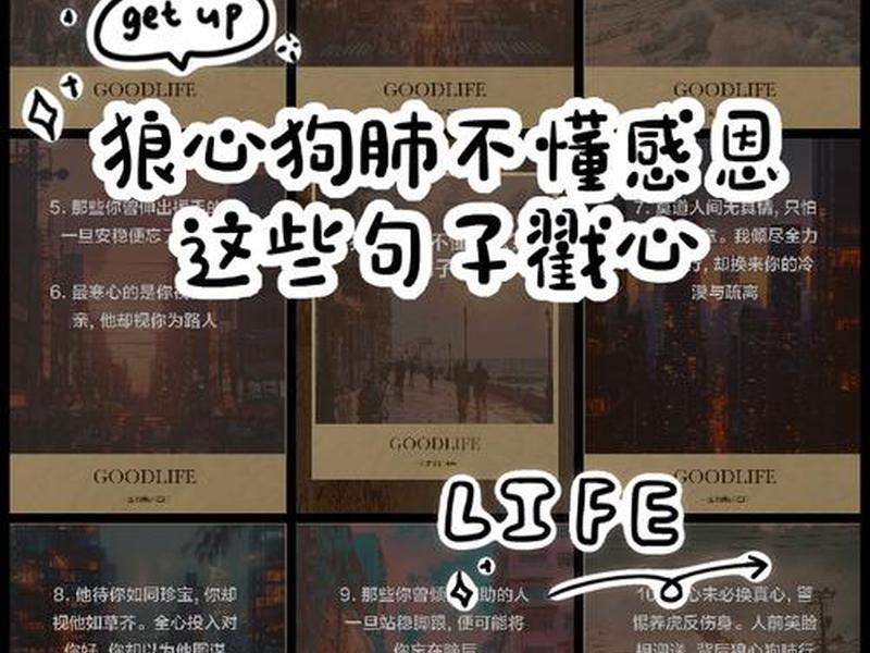 不懂感恩的男人比狼还可怕 不懂感恩的人比狼都可怕 不懂感恩的男人比狼还可怕 不懂感恩的人比狼都可怕