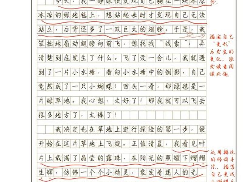 变形记人物分析怎么写;变形记人物分析怎么写作文 变形记人物分析怎么写;变形记人物分析怎么写作文