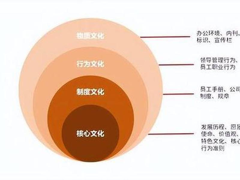 公共关系组织案例；公共关系组织形象案例