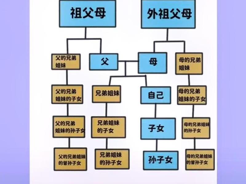 亲情关系是什么关系、亲情关系是什么意思 亲情关系是什么关系、亲情关系是什么意思