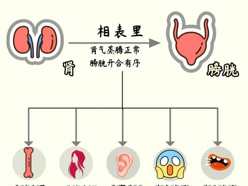 内科科室医患关系 内科科室医患关系图 内科科室医患关系 内科科室医患关系图
