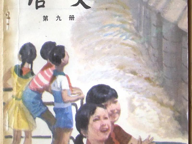 85后语文教材书、80后语文教材