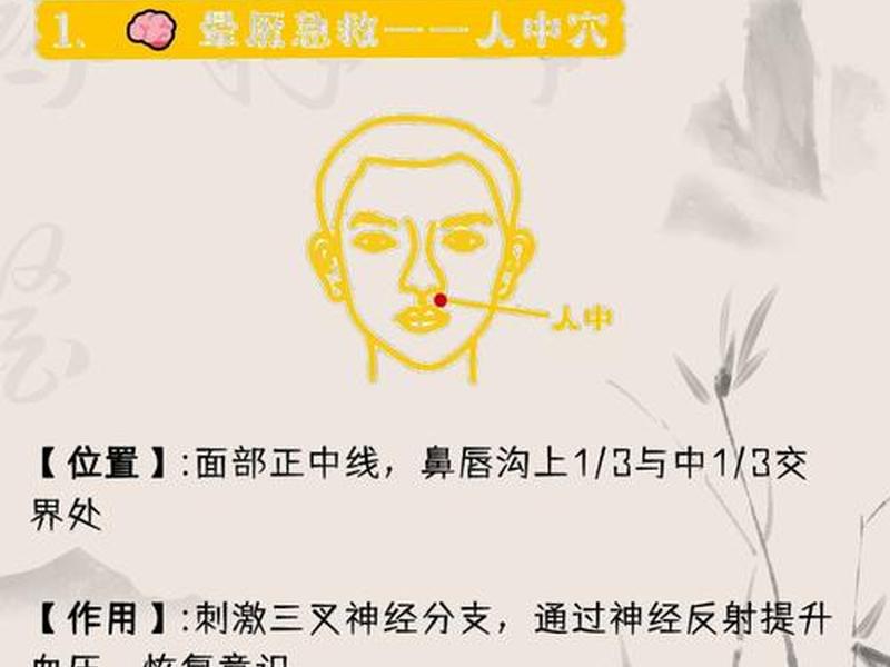 人的三大死穴是哪三个穴位(人类的三大死因有) 人的三大死穴是哪三个穴位(人类的三大死因有)