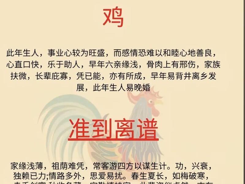 81年鸡职场人际关系，81年属鸡人与什么属相人合作好