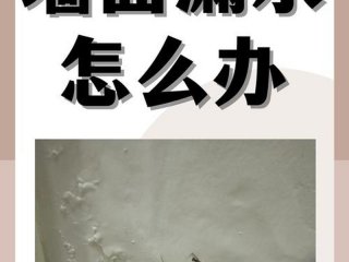 墙壁渗水潮湿发霉怎么解决 - 墙壁渗水潮湿发霉怎么解决呢