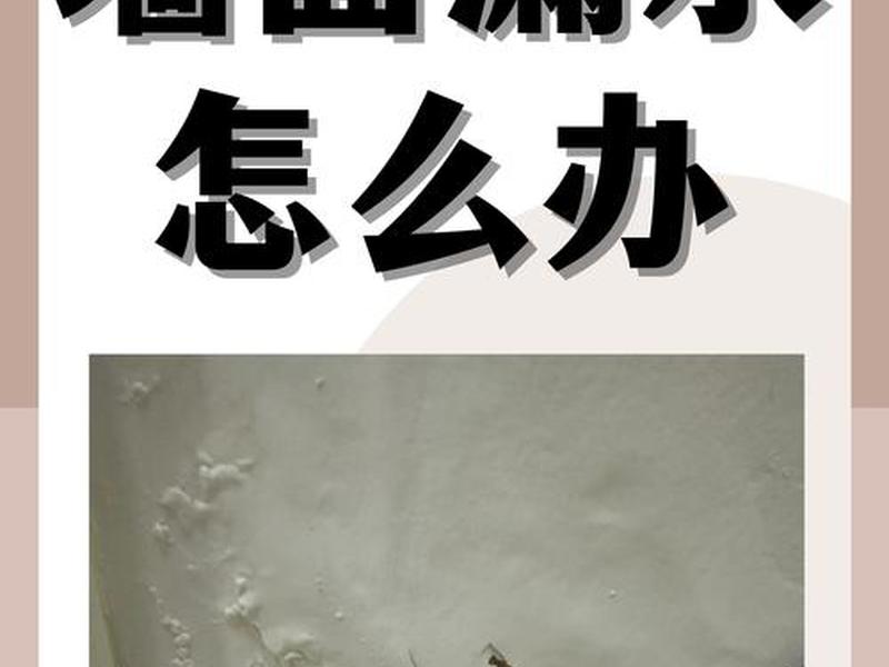 墙壁渗水潮湿发霉怎么解决 - 墙壁渗水潮湿发霉怎么解决呢 墙壁渗水潮湿发霉怎么解决 - 墙壁渗水潮湿发霉怎么解决呢