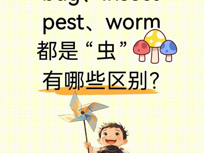 bug类型及区分，有关bug类型一共有几种分类