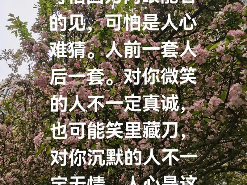 丑恶中的人生 丑恶中的人生图片 丑恶中的人生 丑恶中的人生图片
