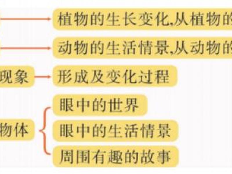 变形记人物关系思维导图;变形记人物关系思维导图简单 变形记人物关系思维导图;变形记人物关系思维导图简单