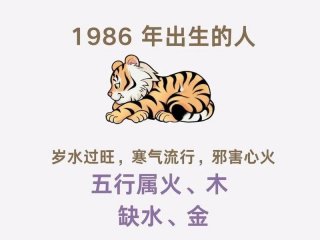 86属虎人际关系运势；86属虎人2021年运势及运程每月运程