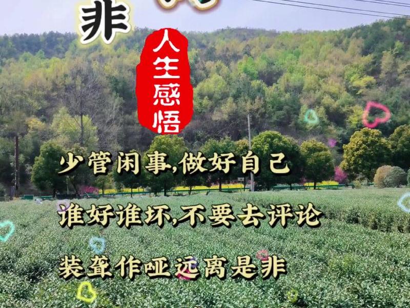 人到中年远离是非修行语 - 人到中年就是一场修行 人到中年远离是非修行语 - 人到中年就是一场修行