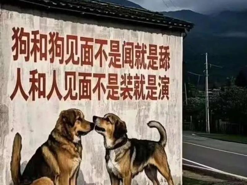 关于朋友之间的舔狗行为、关于朋友之间的舔狗行为的句子 关于朋友之间的舔狗行为、关于朋友之间的舔狗行为的句子