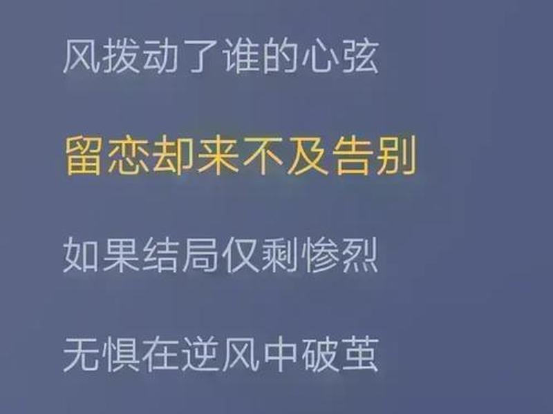 《破茧》结局(《破茧》结局揭秘) 《破茧》结局(《破茧》结局揭秘)