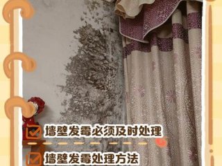 墙壁发霉如何解决，墙壁发霉如何解决问题