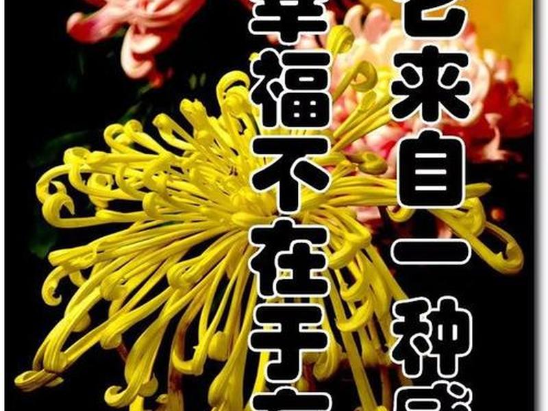 基督徒对男女关系有什么看法、基督徒对男女关系有什么看法吗 基督徒对男女关系有什么看法、基督徒对男女关系有什么看法吗