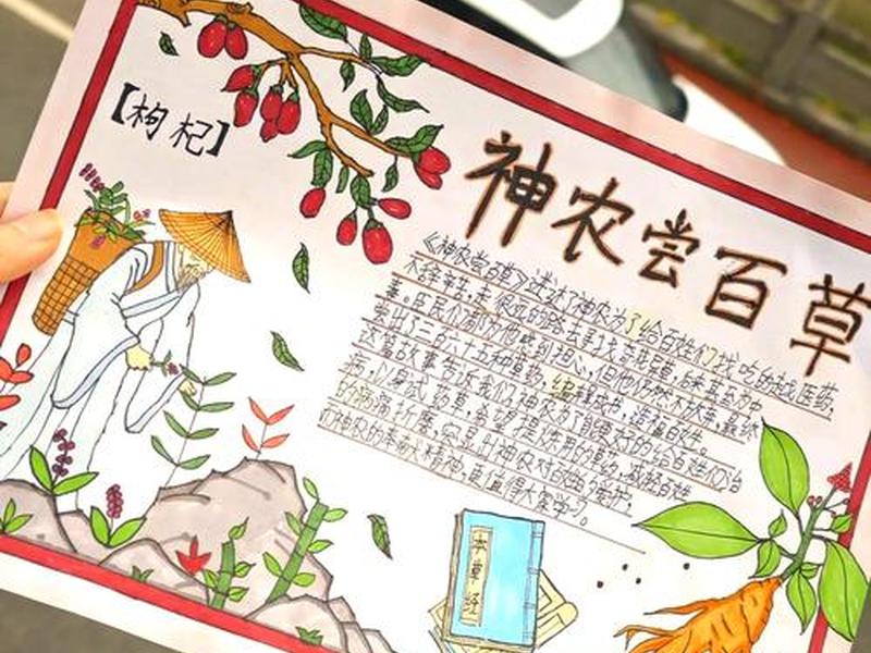 关于植物与人的故事、关于植物与人的故事简短 关于植物与人的故事、关于植物与人的故事简短