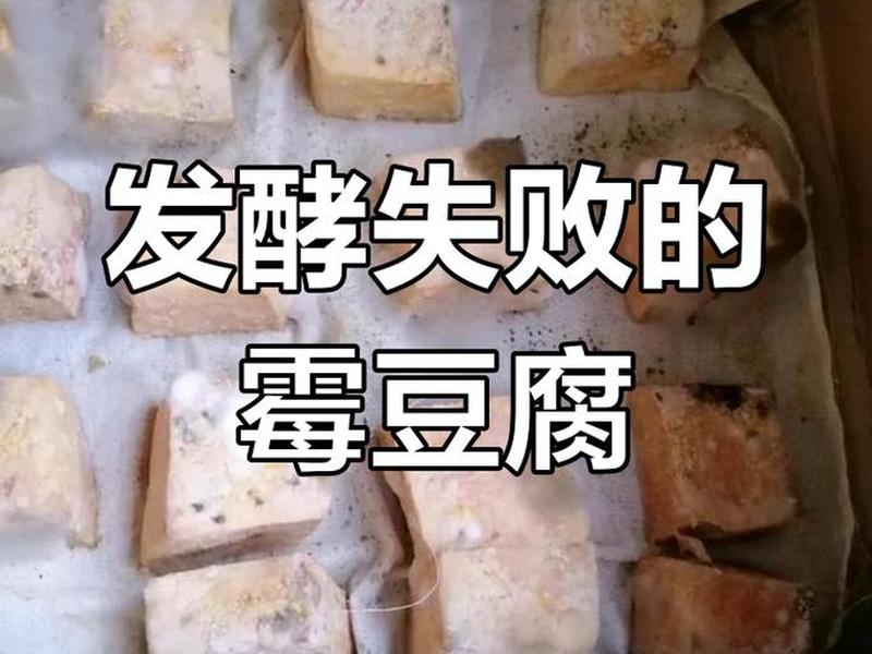 发霉的豆腐渣能吃吗;发霉的豆腐渣能吃吗图片 发霉的豆腐渣能吃吗;发霉的豆腐渣能吃吗图片