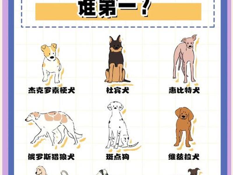 哪个动物交往次数最多 - 哪个动物交往次数最多呢 哪个动物交往次数最多 - 哪个动物交往次数最多呢