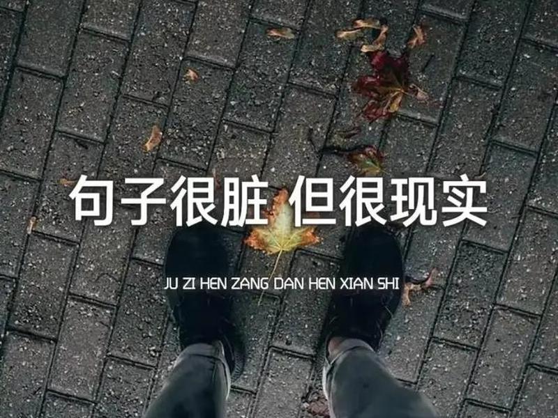 反映人心现实内涵句子；反映人心现实内涵句子摘抄