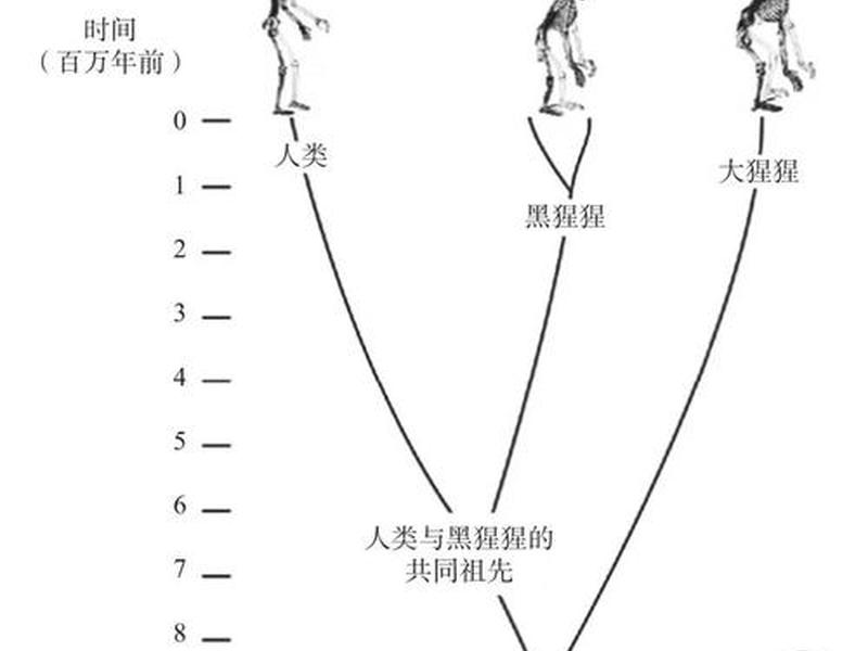 人被社会系统同化与驯服 人被社会系统同化与驯服的区别 人被社会系统同化与驯服 人被社会系统同化与驯服的区别