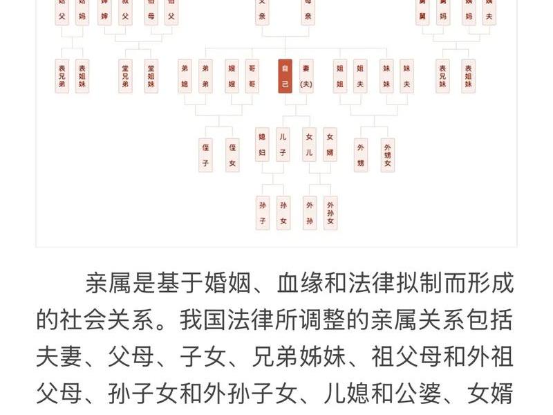 85后人际关系图谱、85后人际关系图谱最新