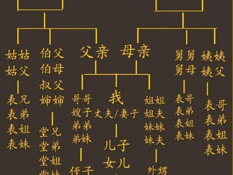 古代亲属关系体系详解 古代亲属关系体系详解图 古代亲属关系体系详解 古代亲属关系体系详解图