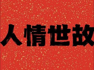 利用人情世故（利用人情世故打败人情世故的人）
