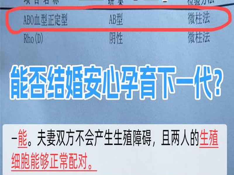 ab血型关系处理 ab血型与其他血型的关系 ab血型关系处理 ab血型与其他血型的关系